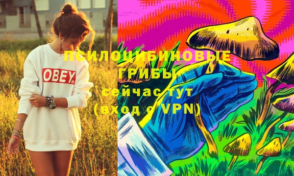 стафф Снежногорск