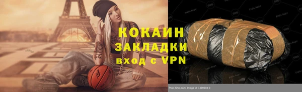 стаф Семилуки