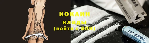 стаф Семилуки