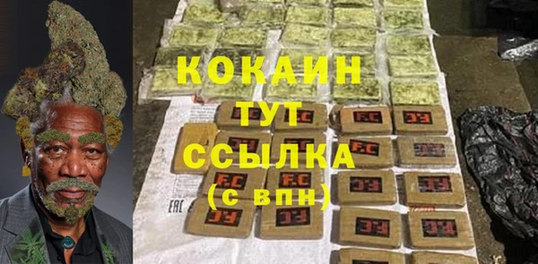 ешки Снежинск