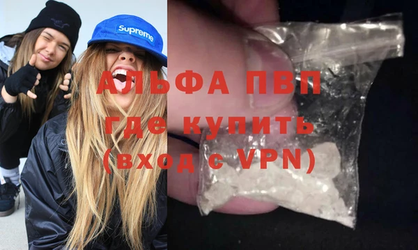 стафф Снежногорск